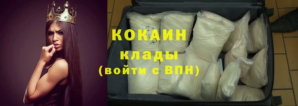 хмурый Абаза
