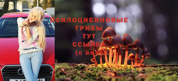 apvp Осинники