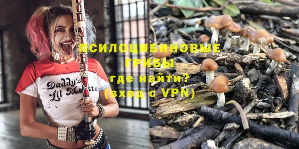 хмурый Абаза