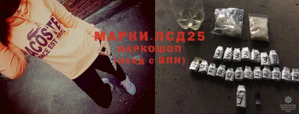хмурый Абаза