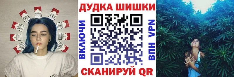 Бошки Шишки сатива  закладки  kraken ССЫЛКА  Сычёвка 